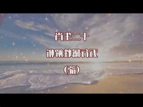 龍 五行屬性